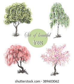  trees vector /  trees  set  /  trees vector/ Beautiful trees set / amazing trees /  trees illustration / Cherry blossoms / cherry tree /  tree Japanese /  tree European /  tree art / 
 tree EPS 