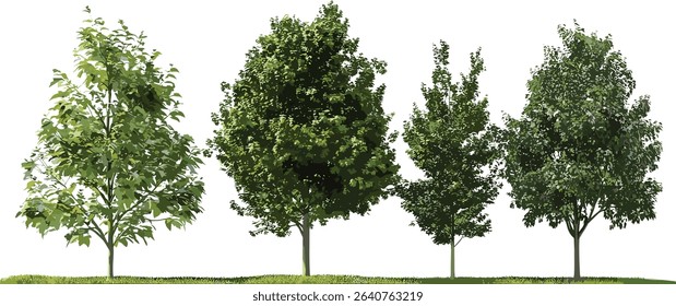 Trees vector set, transparent background, natural landscaping, tree clipart, eco trees, nature outdoor scenery, garden trees, tree design, nature clipart, landscaping art