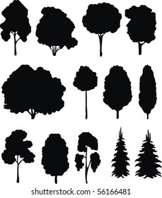 Trees. Vector silhouettes set.