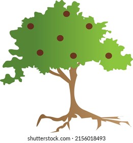 Trees vector for your design architecture or design parks
