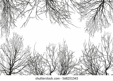 trees view from below