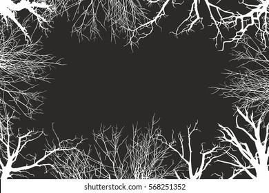 trees view from below