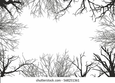 trees view from below