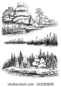 Trees and water reflection, vector illustration set. Riverside landscape with forest, river bank with reed and cattail. Sketchy style.