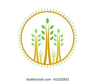 trees wheat barley harvest agriculture image vector icon