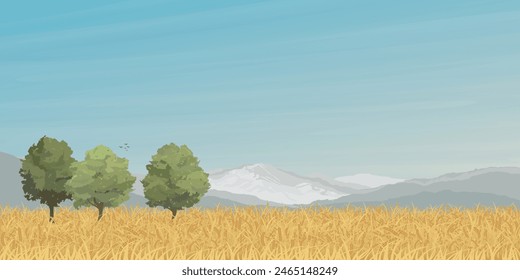 Trees in wheat field with mountain ranges and blue sky background graphic illustrated have blank space. Countryside concept with gold colors barley field. 