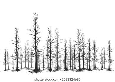 trees in winter with white background