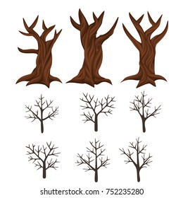 trees without leaves