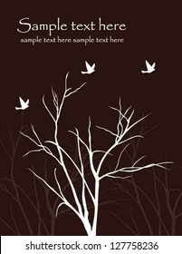 trees without leaves with birds flying in the night sky