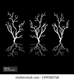 Trees without leaves. An isolated white silhouette on a black background. Vector illustration.