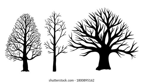 Trees without leaves silhouettes. Vector bare tree silhouettes. Dead tree without leaves.