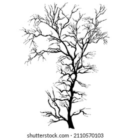 Trees without leaves in winter or autumn. Black silhouette on isolated white background, hand drawn drawing.