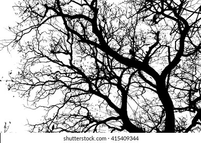 2,842 Tree without leaves drawing Images, Stock Photos & Vectors ...