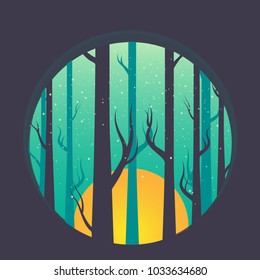 Trees in Woods rain
