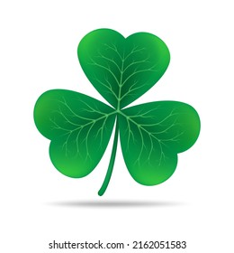 Trefoil clover. Irish shamrock shamrocks isolated, cartoon clovers flower, ireland celtic charm symbol isolated on white background, decorative 3-leaf luck icon