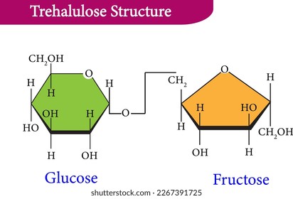 Trehalulose ist ein künstlicher Zucker, ein Disaccharid, bestehend aus Glucose und Fructose, verbunden mit einer alpha (1-1)-Glykosidbindung 
