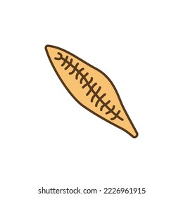 Trematoda vector Trematodes concept colored icon or sign