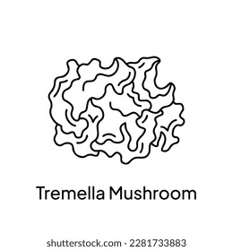 Tremella Mushroom Natural Ingredient for Skin Care Illustration Design