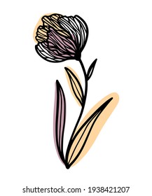 Trend illustration of tulip flower, poppy on abstract stains on pastel pink and yellow substrates. Hand-drawn contour lines of a fantastic stylized plant. Vector illustration isolated on white