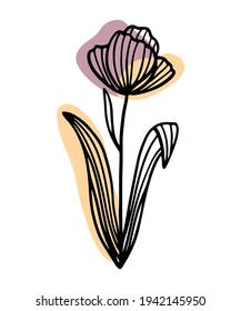 Trend illustration of tulip flower, poppy on abstract stains on pastel pink and yellow substrates. Hand-drawn contour lines of a fantastic stylized plant. Vector illustration isolated on white