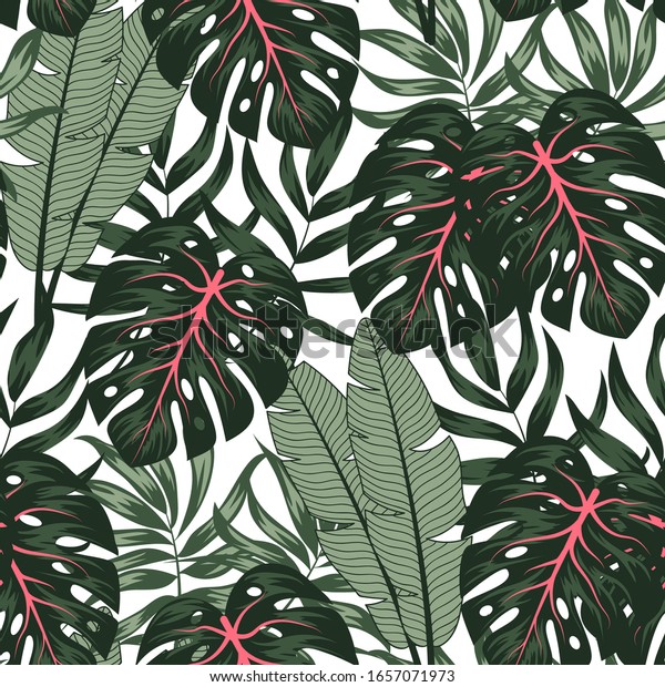 シームレスなパターンをトレンド 白い背景に熱帯の葉と植物 ハワイ風のイラスト ジャングルの葉 植物柄 さまざまなサーフェスのベクター画像背景 エキゾチックな壁紙 のベクター画像素材 ロイヤリティフリー