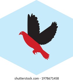 Trending and latest vector icon of dove bird.