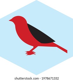 Trending and latest vector icon of sparrow bird.