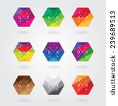 trendy abstract hexagon icon elements set in colorful polygon style with triangular geometric pattern- business hipster style logotype