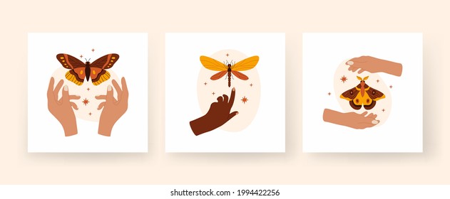 Trendy abstract square boho art set. Hands hold butterflies and dragonflies. Minimalistic composition with tropical insects and stars. Finger touches terracottata damselfly. Moth hovering between