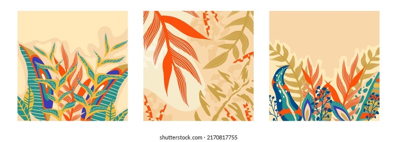 Volante de moda estético boho jungle set. Resumen de diseño exótico fondo de jungla floral. Plantilla de diseño. Resumen del fondo de la naturaleza. Vector de cobertura de arte folicular tropical