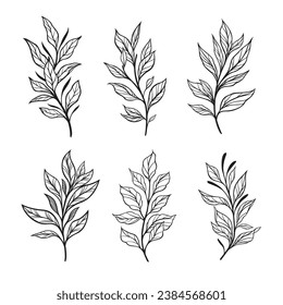 Trendy botanical elements, Hand drawn line leaves branches and blooming