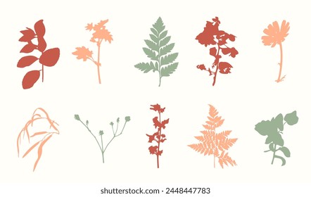 Trendy botanical floral silhouettes set. Minimal plants clip arts. Hand drawn shapes elements collection. Vector flat illustration. Vintage retro design