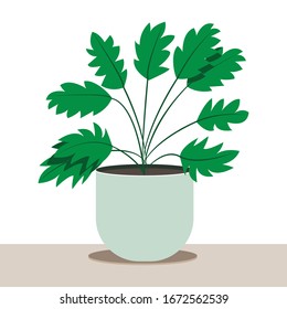 Trendy card with scandinavian style home flowers. Home decor plant. Window design. Living room interior. Simple flat color graphic design. Interior element of a cozy house, hugge and lagom style