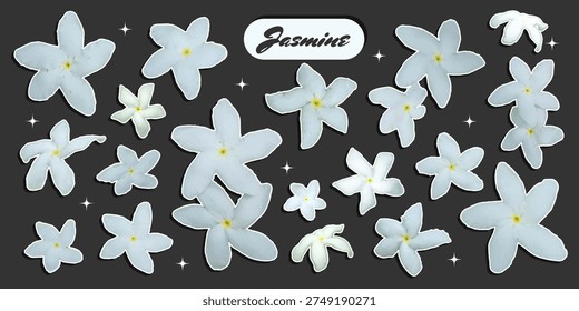 Trendy collage flower stickers set with photo cutout jasmine, halftone texture and decorative text bubbles. Retro pop floral elements. Contemporary vector illustration on dark background