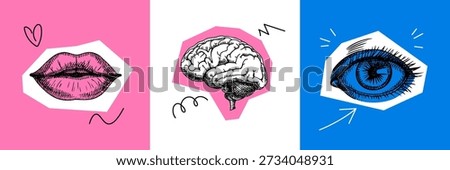 Trendy collage set with sketch brain, eye, lips. Human mind, senses, psychology, mental health, creativity concept. Poster, social media, podcast cover. Bold pop art vector illustration.