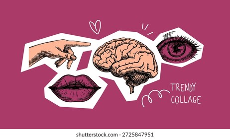 Collage de moda con sketch cerebro, mano, ojo, labios. Mente humana, sentidos, psicología, salud mental, concepto de creatividad. Afiche, redes sociales, portada de podcast. Ilustración vectorial de arte pop audaz.