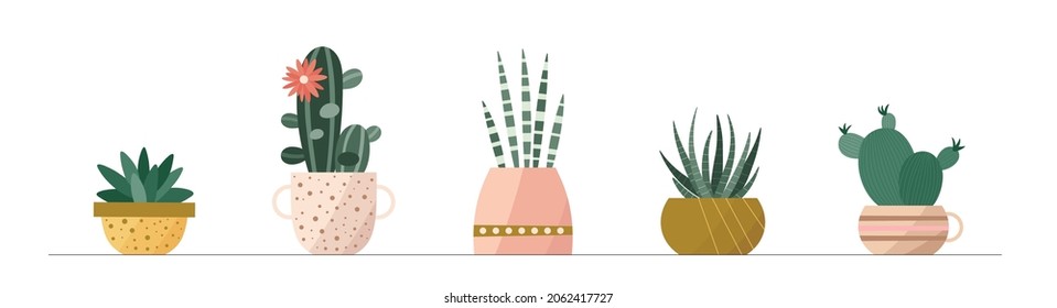 Trendy collection of home cute cactus plants in flowerpots pack icons. Set of mini cacti succulent plants in pots modern illustrations. Cozy vector decoration elements in flat swiss graphic style.

