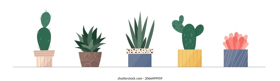 Trendy collection of home cute houseplants in flowerpots pack icons. Set of mini cactus and succulents in pots modern illustrations. Cozy vector cacti decoration elements in flat swiss graphic style.