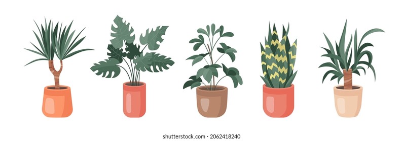 Trendy collection of home cute plants and succulents in flowerpots pack icons. Set of houseplants and succulents in pots modern illustrations. Cozy vector decoration elements in flat swiss style.