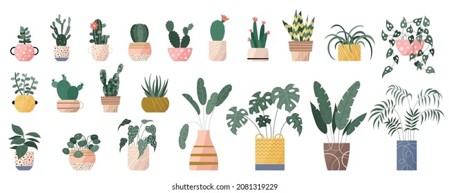 Colección a la moda de plantas lindas y suculentos en macetas de flores empaque iconos. Conjunto de plantas domésticas y cactus en ollas ilustraciones modernas. Elementos decorativos vectoriales acogedores de estilo suizo plano.