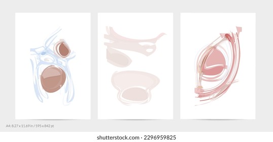 Trendy contemporary abstract watery shapes. Light natural pastel colors. Harmony and relaxation design. Mid century wall art. Smooth lines random opacity overlapping texture creates watercolor effect