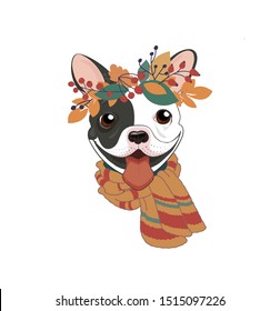 Trendy cool autumn poster.Сute puppy smile with fall foliage. French bulldog black and white with warm scarf, in a wreath of autumn foliage, rose hips and mountain ash. Vector illustration. Color cover