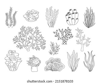 Trendy coral reef vector collection. Underwater ocean plants line icon set. Aquarium algae, laminaria, kelp water life isolated on white background.