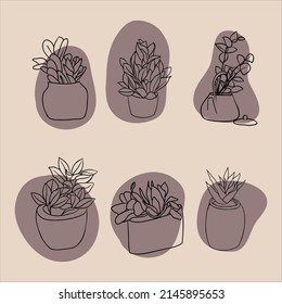Trendy design for greeting cards, invitations, posters. Vases and leaves set. Modern vector illustration.