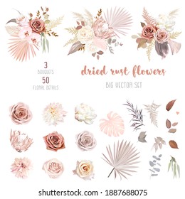 Hojas de palma secas a la moda, rosa rosa rosa rosa y óxido de color rosa, protea pálida, ranunculus blanco, pampas diseño vectorial de césped grande.Flores de moda. Beige, oro, marrón, óxido, taupe.Los elementos están aislados y se pueden editar