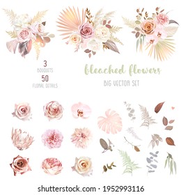 Trendy dried palm leaves, blush pink and rust rose, pale protea, white ranunculus, pampas grass vector design big set.Trendy flowers. Beige, gold, brown, rust, taupe.Elements are isolated and editable