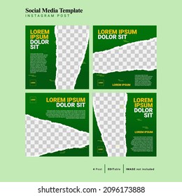 Trendy editable square banner template for social networks stories and posts, vector illustration.
Green background gradient color and with shape. Suitable for social media posts