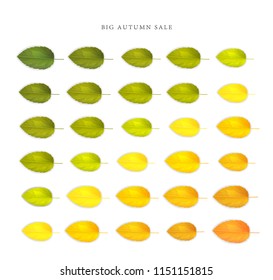 Trendy and elegant autumn background with realistic yellow gold orange leaves. Gradient leaf coloring Simple minimalistic style. Sale banner template Fall seasonal poster or card Vector illustration