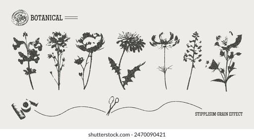 Trendy elements of branches, dried flowers, wildflowers with retro photocopy effect. Y2K elements for poster design, covers, T-shirts, web design, collages. Effect of grain and dotted lines. Vector