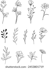 Trendy elements of plants, branches, leaves, flowers, herbs.